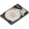„Dell“ 2 TB 3,5 colio SAS-1 (3 Gb/s) serverio diskas (R755K)