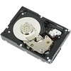 „Dell“ 2 TB 3,5 colio SAS-1 (3 Gb/s) serverio diskas (R755K)