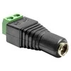 Delock Adapteris DC 2,1 x 5,5 mm lizdas > Gnybtų bloko 2 kontaktas