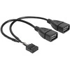 „Delock“ USB kabelio kaiščio antraštė, lizdas > 2 x A tipo USB 2.0 lizdas, 20 cm
