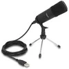 Delock Professional USB kondensacinis mikrofonas 24 bitų / 192 kHz