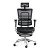 Ergonominė žaidimų/biuro kėdė Diablo V-Master, Juoda