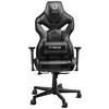Diablo X-FIGHTER gaming chair juodas and juodas