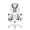 Diablo Chairs Diablo X-Ray 2.0 Normal Size Juodas-Baltas ergonominė kėdė