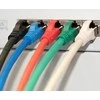 Digitus Pečkordas CAT6, S-FTP, 0.25m, žalia, 10 vienetų (DK-1644- 0025- G-10)
