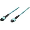 Digitus MPO fiber- optinis laikiklis - MPO, 50 / 125, OM3, 1m (DK- 2566- 30 / 3)