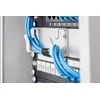 Assmann Electronic DIGITUS Modular Patch Panel ekranuotas 12 prievadų tuščias 1U 10 colių 10 colių stovo montavimo spalva juodas RAL 9005
