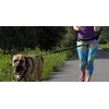 Dingo pavadėlis su amortizatoriaus juosta ir 2 šautuvai 170 cm - 14699