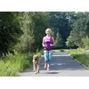 Dingo pavadėlis su amortizatoriaus juosta ir 2 šautuvai 170 cm - 14699