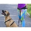 Dingo pavadėlis su amortizatoriaus juosta ir 2 šautuvai 170 cm - 14699