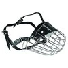 Dino Metalinis snukis - 6 aviganiai