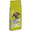 Purina Nestle Purina DOG CHOW Large Breed Adult 14 kg kalakutiena