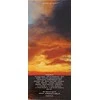 Kvepalai moterims Dolce&amp;Gabbana Light Mėlyna Sunset in Salina EDT 100ml