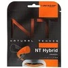 Stygos tenisui Dunlop NT HYBRID oranžinė. 1,35/1,27 mm