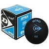 Dunlop Skvošo kamuoliukas Intro 12-box, 1mėlyn.taš