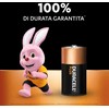 Duracell Bateria Plus-C (MN1400/LR14) kūdikiams, 4 vnt.