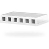 Efb Elektronik EFB EFB Keystone Anschlussbox 6Port Aufputz reinweiss be Modul