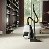 Electrolux PD82-ALRGT 3,5 L cilindrinis vakuuminis sausas 650 W dulkių maišelis