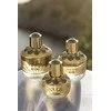 Elie Saab Girl Of Now Shine Eau De Perfume Purškiklis kvepalai moterims 50ml