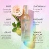 Caudalie Beauty Eliksyras gaivinanti veido dulksna, 30 ml