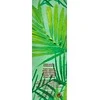 Elizabeth Arden, Žalias Tea Tropical, Eau De Toilette, For Women, 100 ml
