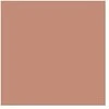 Embryolisse Artist Secret Compact Powder Bronzing Effect bronzinį efektą suteikianti pudra, 12 g