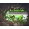 Click & Grow sėklos išmaniajam vazonui - Bazilikas (Holy Basil) 3vnt.