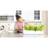 Click And Grow Click &amp; Grow Smart Garden pildymas Laiškiniai česnakai 3 vnt