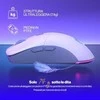 Pelė ENDORFY GEM Plus Wireless Onyx Baltas
