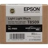 Epson T850900 | Ink Cartridge | Light Juodas