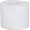 „Epson Premium Matte Label“ – ištisinis ritinys: 102 mm x 35 m