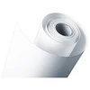 Epson 610/50/Standard bandomojo popieriaus ritinėlis, 24", C13S045008, 205 g/m2, popierius, 610 mm x 50 m, balta, rašaliniams spausdintuvams, ritinėlis