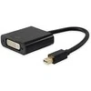 Adapteris AV Equip DisplayPort Mini - DVI-I balta (133433)