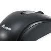 Pelė Equip Equip Optinė pelė USB Comfort 4 Tasten R+L juodas