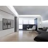 Equip TV laikiklis Equip 650341