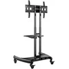 Laikiklis NB AVA 1500-60-1P 32 "- 65"