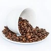 Kavamalė Grinder for coffee Esperanza Lungo EKC002K (160W, impact, juodos spalvos)