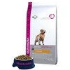 Eukanuba Adult Golden Retriever sausas maistas auksaplaukiams retriveriams 12kg