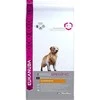 Eukanuba Adult Golden Retriever sausas maistas auksaplaukiams retriveriams 12kg