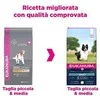 Eukanuba Adult Small and Medium Breeds su ėriena ir ryžiais 12kg