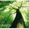 TONER Juodas HP 410A - XEROX EVERYDAY