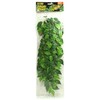 Hagen Fluval Exo Terra šilkinis fikusas terariumui 55cm
