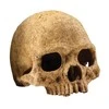 Exo Terra EXOTERRA - Cave Skull - (222.2055)