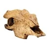 Exo Terra EXOTERRA - Cave Buffalo Skull - (222.2057)