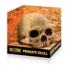 Exo Terra EXOTERRA - Cave Skull - (222.2055)