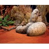 Exo Terra Hagen DINOSAUROS DEKLARACIJA Vištos