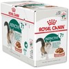 Royal Canin FHN Cat Instinctive 7+ padažas 12x85 g