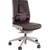 Fellowes Profesionali atrama (8037613)