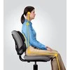 Fellowes Profesionali atrama (8037613)