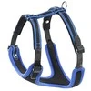 Ferplast Ergocomprese P Braces XL mėlyna